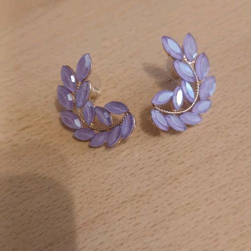 Earrings with purple stones new