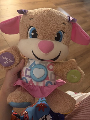 Fisher Price educational dog toy like new