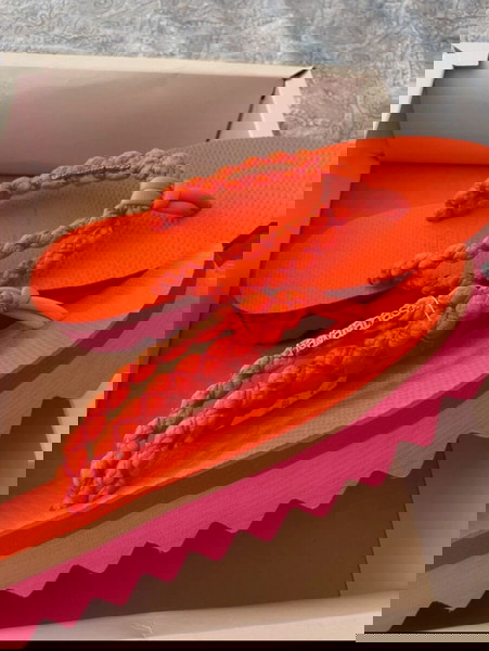 havaianas