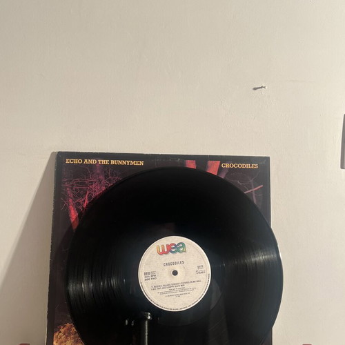 Echo & The Bunnymen Crocodiles vinyl LP used, post-punk classic 1980