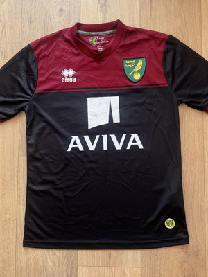 Norwich City Errea Away football shirt 2014/2015 signed size M
