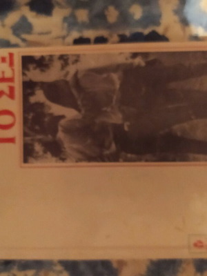 The Couple and Sex book used