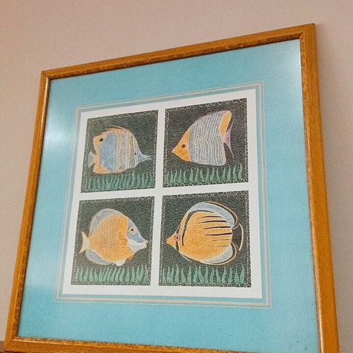 Engraving with colorful tropical butterfly fish like new, 46x46 cm, wooden frame