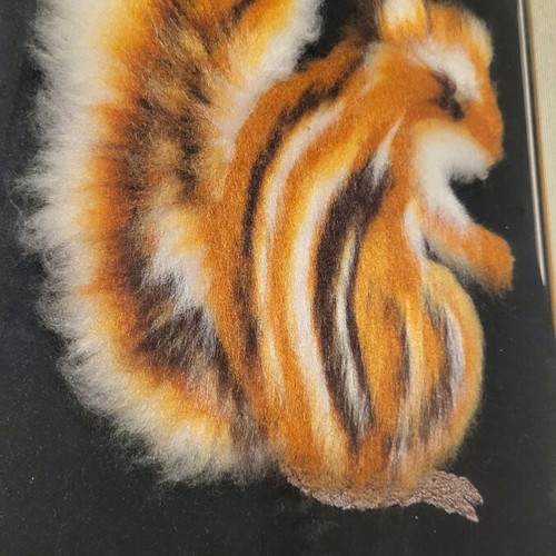 Frame used with squirrel theme