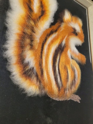 Frame used with squirrel theme