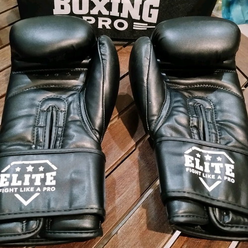 Boxing Pro Stripes 12 oz gloves like new with case