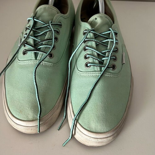 Vans Syndicate Authentic Pro S used, size 45
