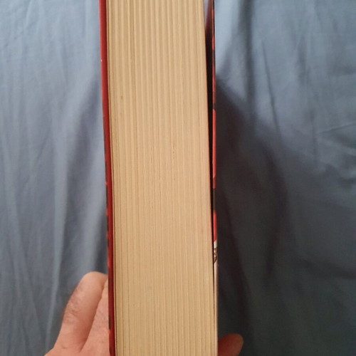 The Winner Stands Alone Paulo Coelho book new