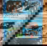  ΕΛΛΗΝΙΚΌ PS2 Harry Potter and the Prisoner of Azkaban