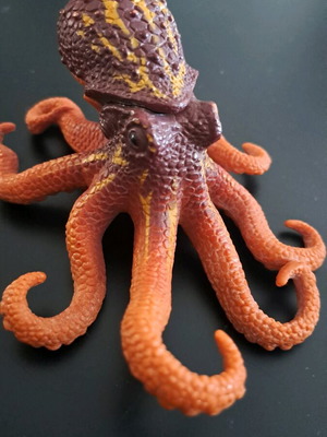 Octopus figure used, realistic with high detail