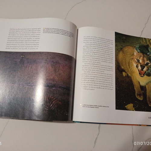 The Encyclopedia of Animals Volume 3 used, The Tiger and the World of Felines