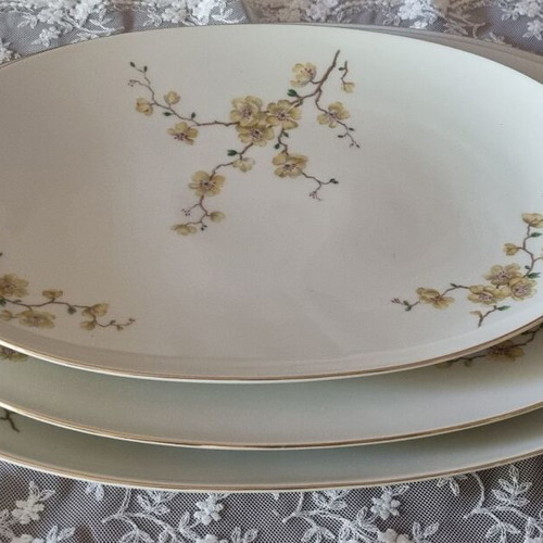 Thomas Germany Bavarian Porcelain Serving Set vintage, like new, 161 pieces