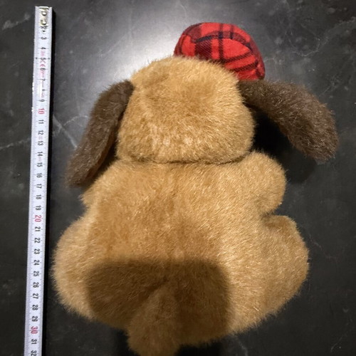 Plush dog with cap used