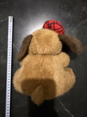 Plush dog with cap used