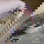  Nude πέδιλα