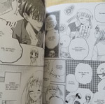 Fruits Basket comic like new