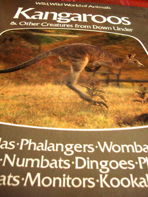 Wild, Wild World of Animals Kangaroos & Other Creatures from Down Under καινούργιο
