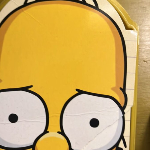 The Simpsons The Complete 6th Season DVD, collector's edition