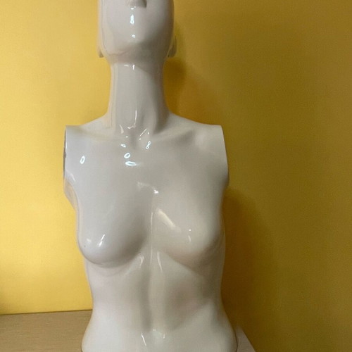 Mannequin torso used