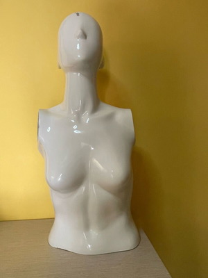 Mannequin torso used