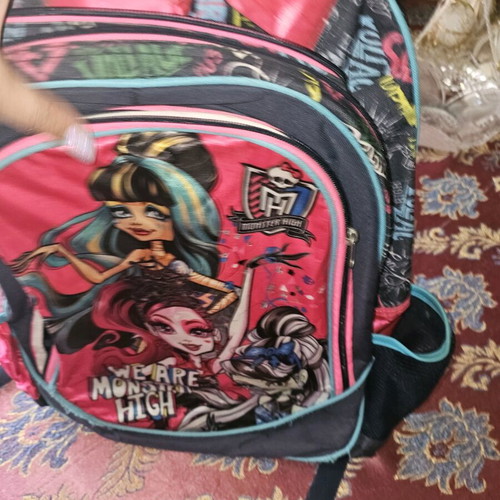 Monster High school backpack used with multiple compartments for primary school