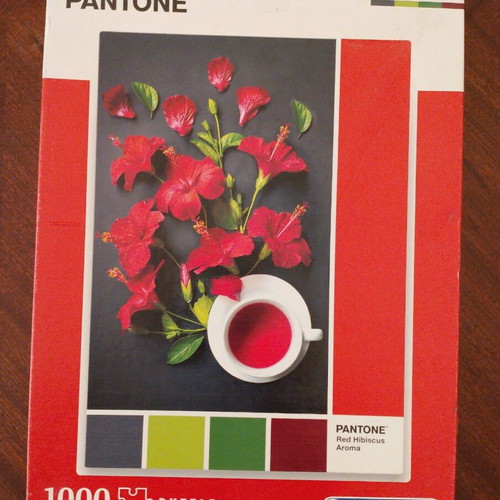 Puzzle used 1000 pieces