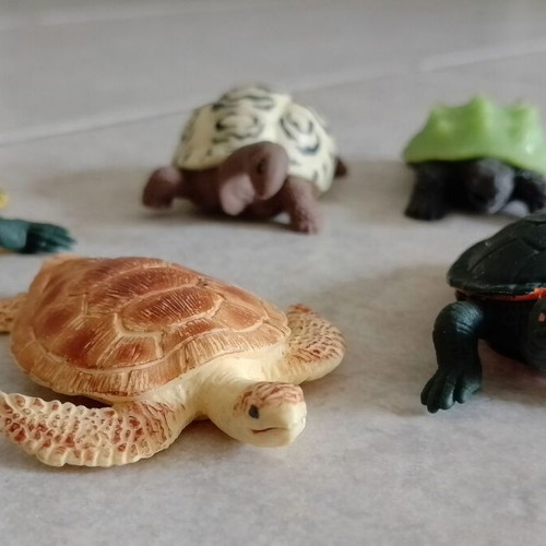 Plastic turtle figures used, set of 5