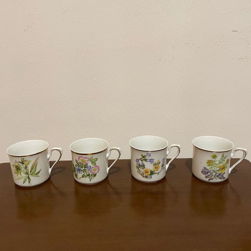 Flora Graeca collectible porcelain cup set by Niki Goulandri new