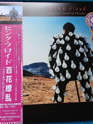 Pink Floyd Delicate Sound of Thunder LP άλμπουμ καινούργιο, έγχρωμο βινύλιο 2 δίσκων