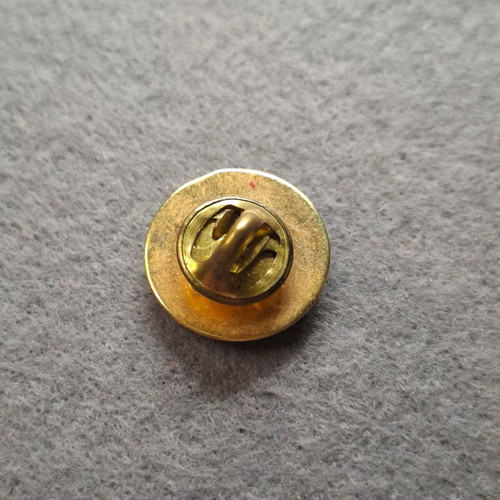 Collectible pin of Velestino Municipality Rigas Feraios like new
