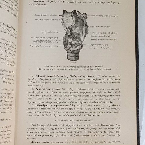 Anatomy of Man used, 1914, by N.P. Michalakeas