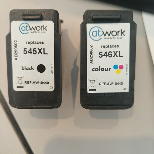 Empty ink cartridges for Canon printer used