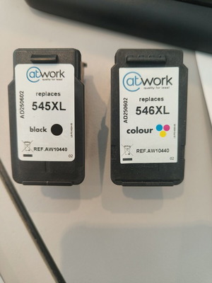 Empty ink cartridges for Canon printer used