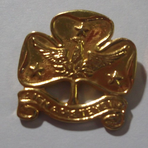 Greek Scouts Pin new, gold color with rising phoenix emblem