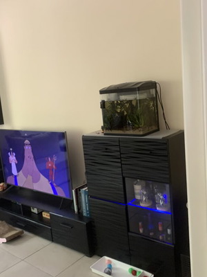 Living room unit with display cabinets and LED lighting