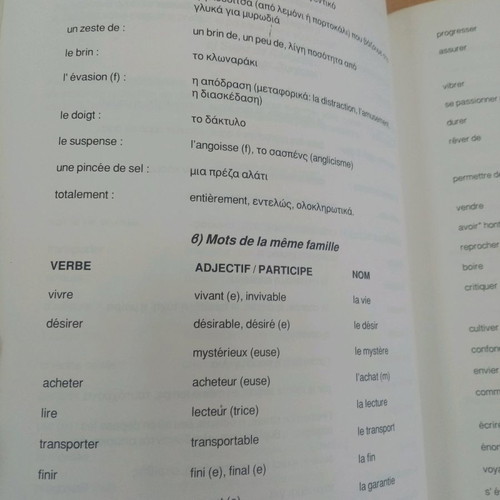 Acces au Delf Unites A2 et A3 unused book, 1994 edition