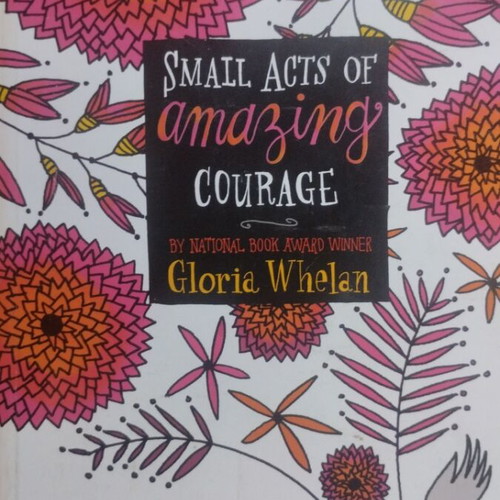 Small Acts of Amazing Courage book used, English
