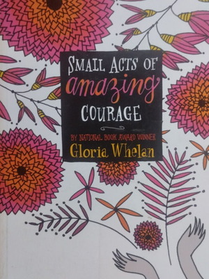Small Acts of Amazing Courage book used, English