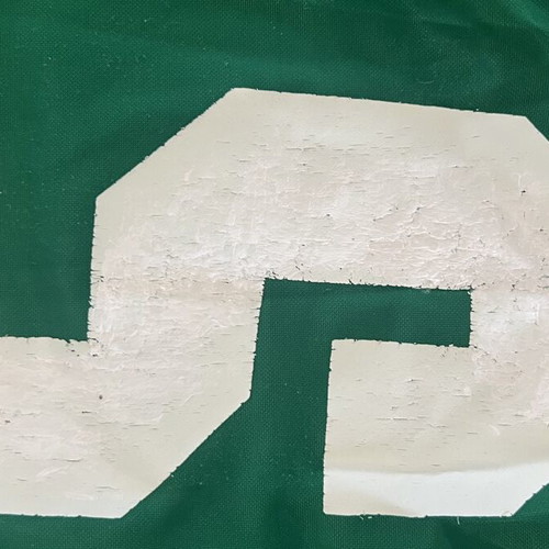 Panathinaikos Adidas Rukavina 100 Years Anniversary Jersey used, size Small, men's