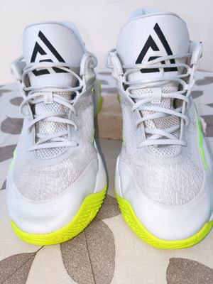 Αθλητικά παπούτσια μπάσκετ Nike σαν καινούργια, Νο48, γκρι