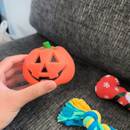 Set of 3 unused dog toys