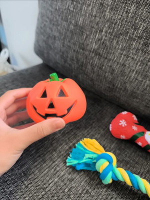 Set of 3 unused dog toys
