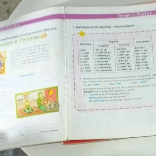 Fairyland Junior B Vocabulary and Grammar Practice Student's Book used
