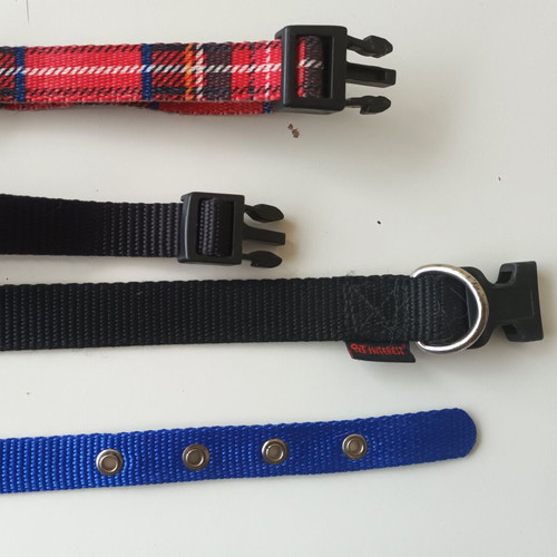 Set of 4 small dog collars