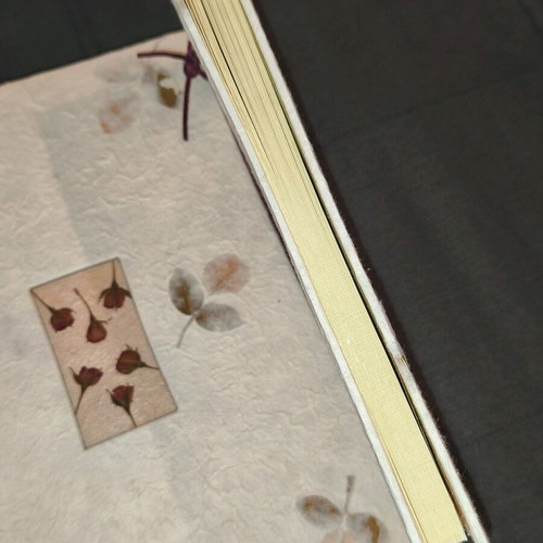 Photo album with rice paper new, 30 pages with box and vinyl photo corners