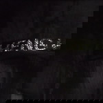  Шлифер