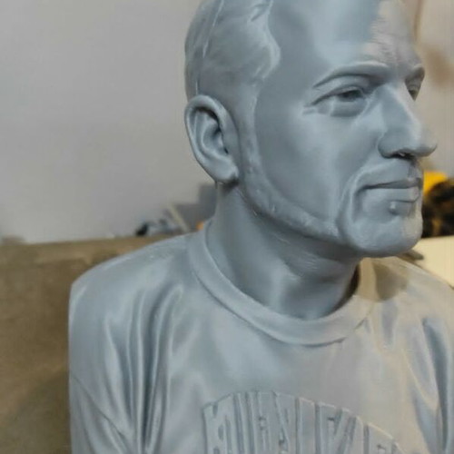 3D Printed Bust From Photo New, Personalized Gift