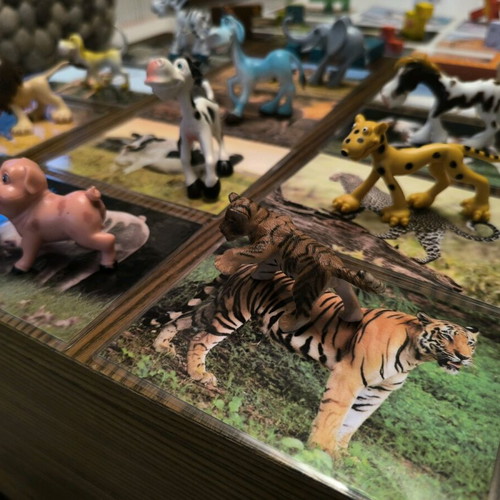 Montessori Animal Photos and Figures Game used