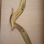 Brass seagull used