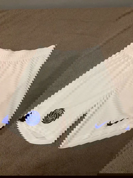 Nike psg shorts